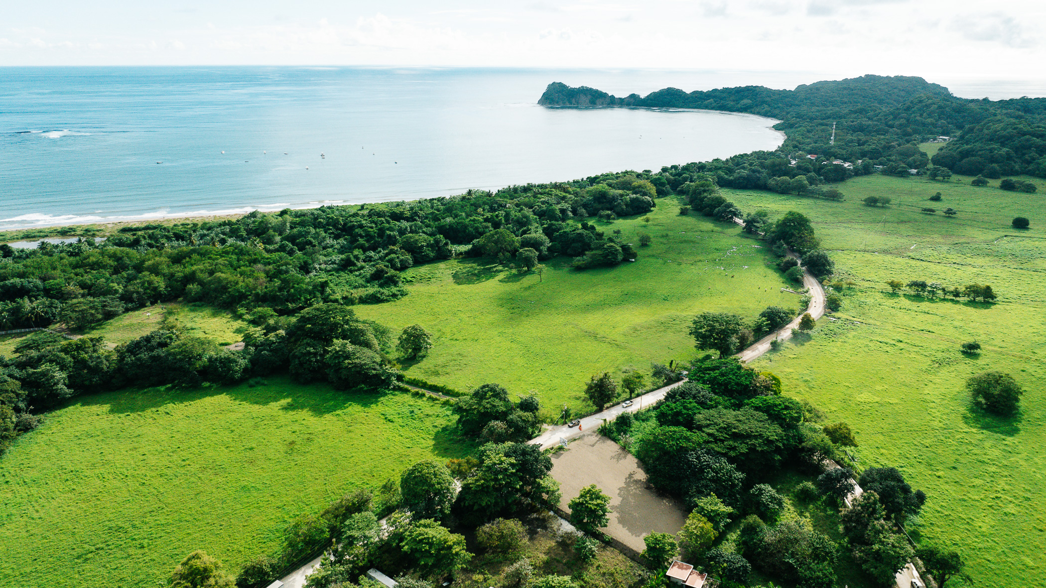 Birds View