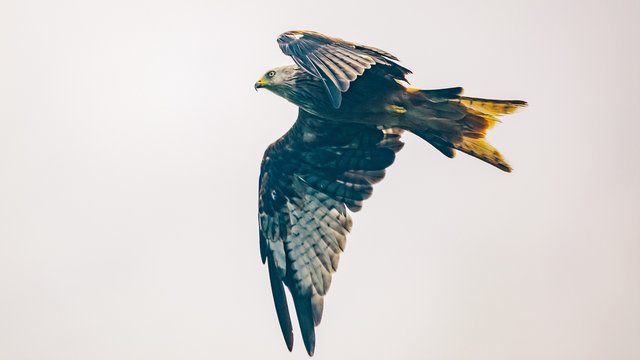 Birds%20eye%20view-992.jpg