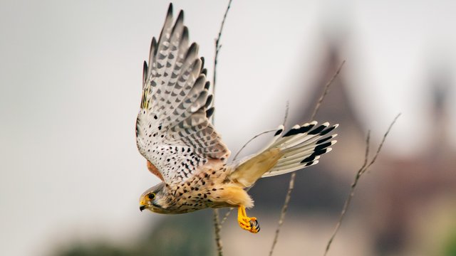 Birds%20eye%20view-994.jpg