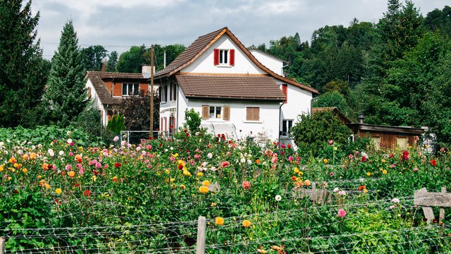 Switzerland-985.jpg